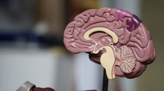 How Neurocosmetics Are Linking The Brain And Skin